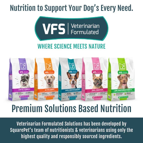 SquarePet VFS® Skin & Digestive Support