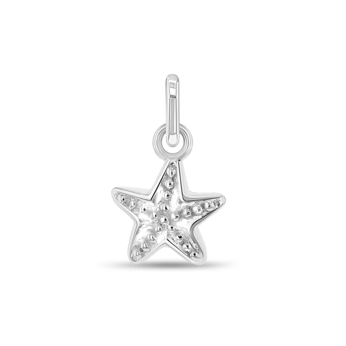 Polished Starfish