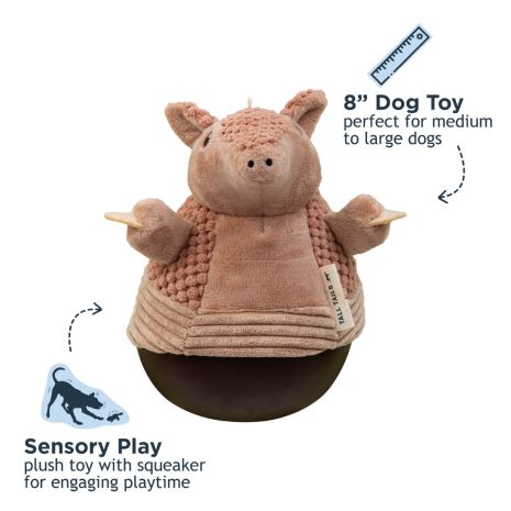Tall Tails Roly Poly Armadillo Toy
