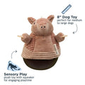 Tall Tails Roly Poly Armadillo Toy