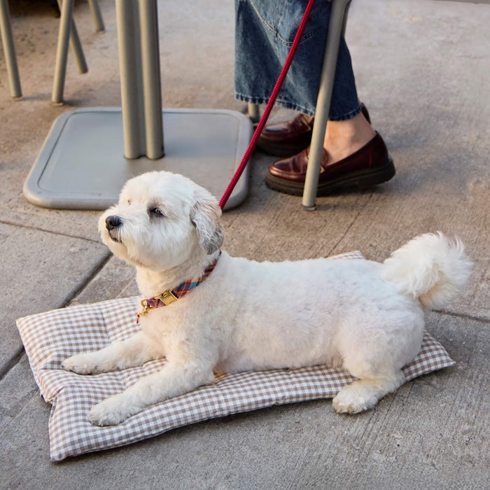 The Foggy Dog - Mushroom Brown Gingham Dog Travel Mat