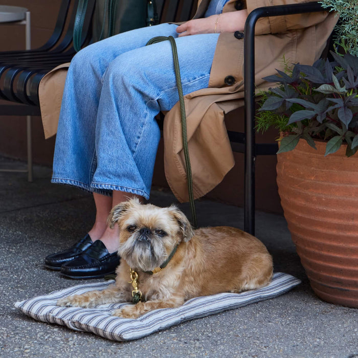 The Foggy Dog - Ticking Stripe Dog Travel Mat