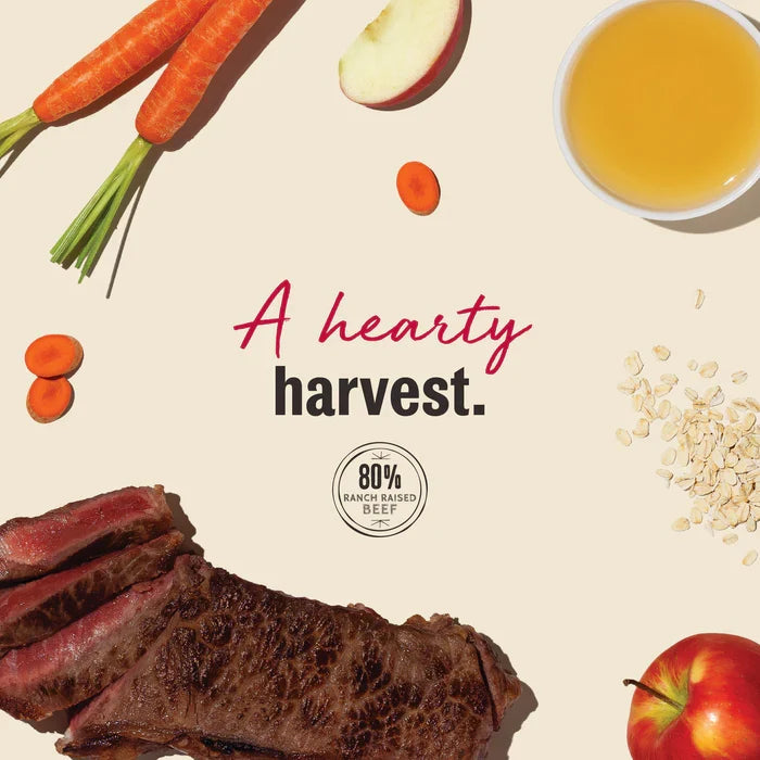The Honest Kitchen Beef Jerky Harvest Bars