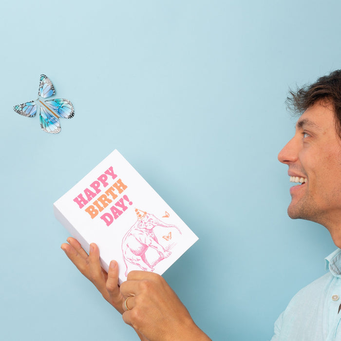 The Magic Butterfly [Random Color]