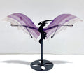 Unique Fluorite Flying Dragon Wing With Stand - Wholesale Crystals