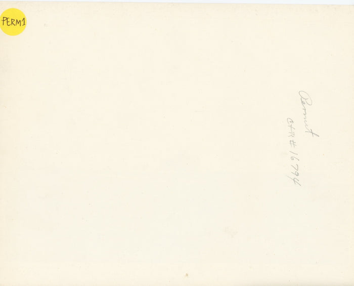 USS Permit (SS-178 / P-7) Submarine