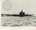 USS Sea Raven (SS-196) Submarine