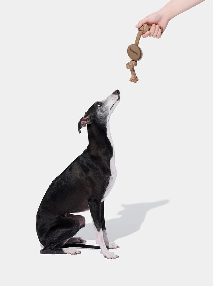 Vetreska Playful Charm Knot Rope Toy - Coffee