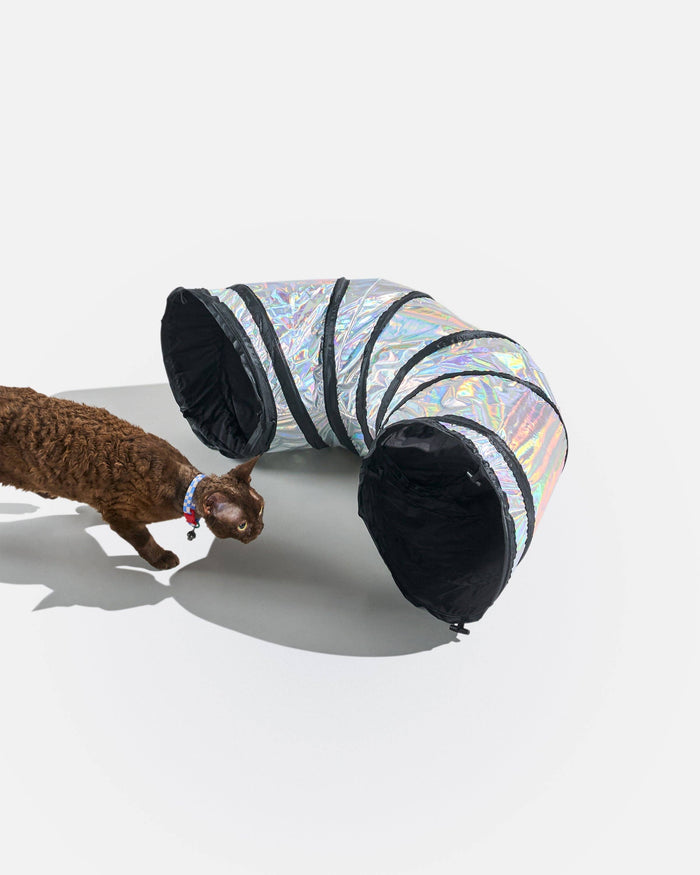 Wild One - Cat Tunnel: Lunar
