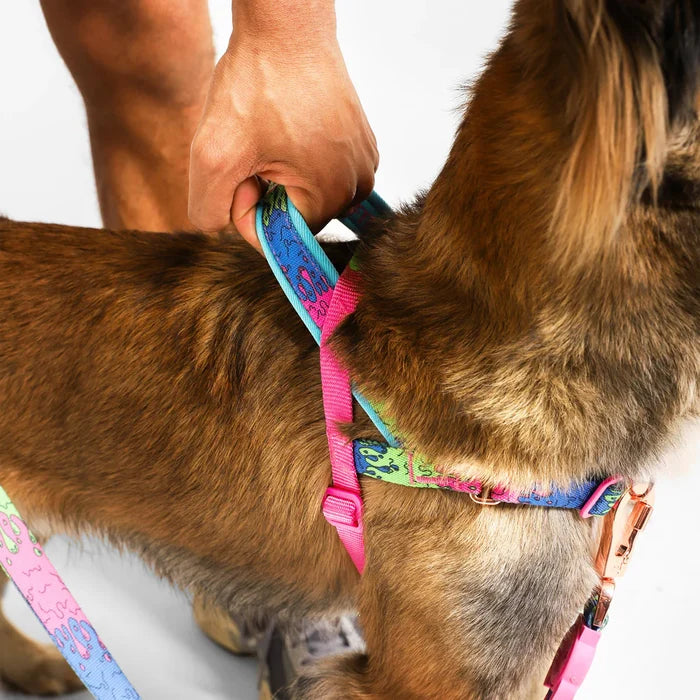 Zee.Dog SofterWalk Harness - Melted