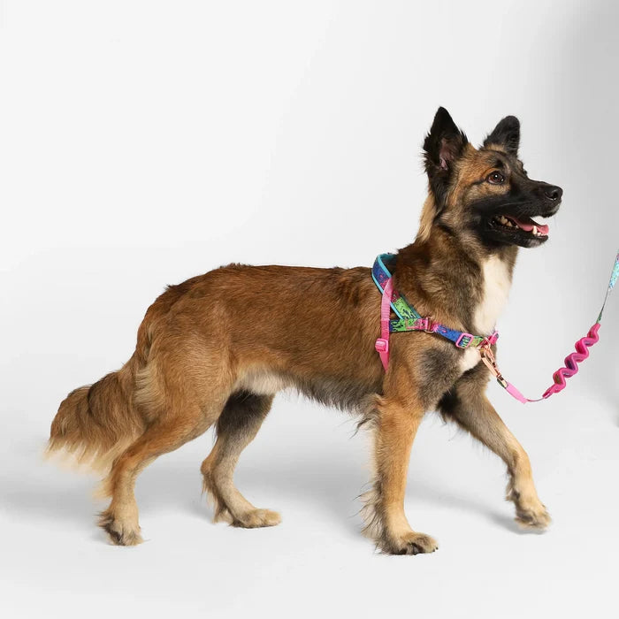 Zee.Dog SofterWalk Harness - Melted